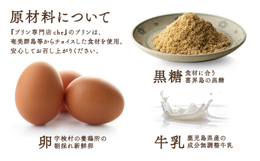 《朝採れ卵の絶品プリン》プレーン味(6個入り)こだわり プリン 人気 スイーツ デザート 洋菓子 紅さんご 奄美大島 宇検村 鹿児島【 プリン専門店che 】