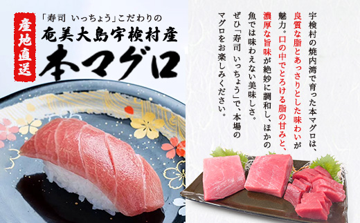 お食事券 ( 3,000円分 )  寿司 いっちょう ギフト プレゼント 鹿児島県 奄美市 奄美大島 まぐろ マグロ すし 鮨 新鮮 旬 地元 海の幸 さかな 魚 3,000円分