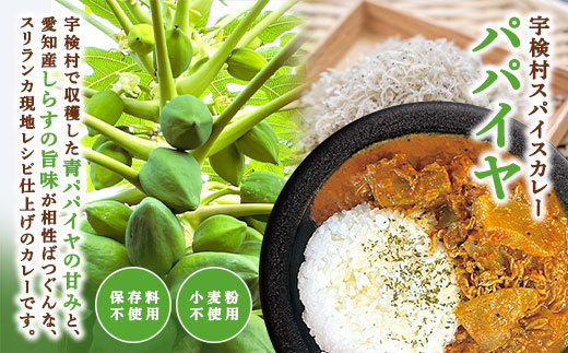 宇検村スパイスカレー 車海老＆パパイヤ 各5食（10食セット）・鹿児島県宇検村 各5食（計10食） 車海老＆パパイヤ