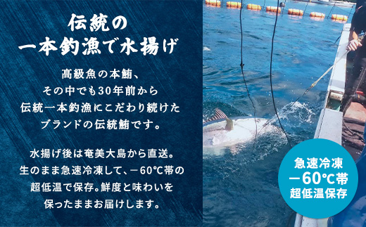 奄美大島 伝統鮪 厚切り 中トロ（2柵 各250g）セット 柵 冷凍 鮪 まぐろ 海鮮 刺し身 お刺身 さしみ 生食用 中トロ 鹿児島県 奄美大島 宇検村 中トロ 2柵