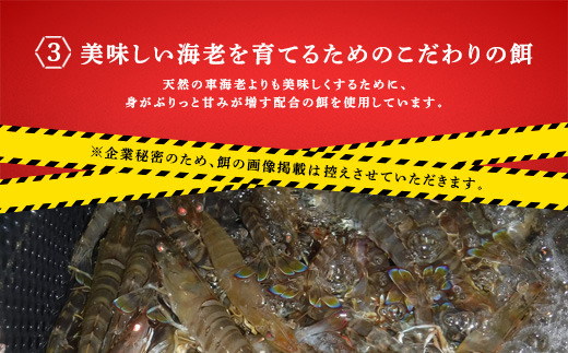 《奄美大島 宇検村産》燻製車海老(5尾) 魚介 スモーク 車海老 えび エビ おつまみ 調味料保存料不使用 奄美大島 宇検村 鹿児島