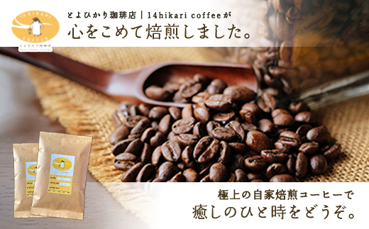 コーヒー豆（100g×２種）自家焙煎 こだわりのコーヒー 店主おすすめ エクアドル インドネシア 鹿児島県 奄美大島 宇検村〈とよひかり 珈琲店 〉