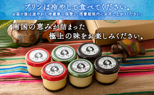 《朝採れ卵の絶品プリン》プレーン味(6個入り)こだわり プリン 人気 スイーツ デザート 洋菓子 紅さんご 奄美大島 宇検村 鹿児島【 プリン専門店che 】