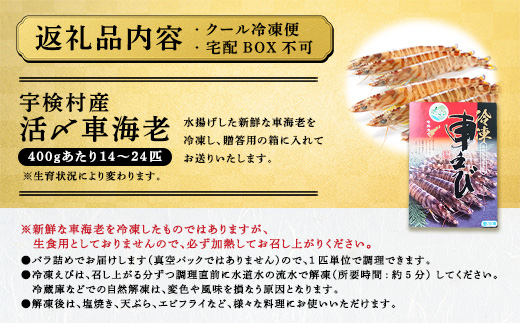 《奄美大島 宇検村産》 冷凍車海老 400g 贈答箱入り 活〆車えび エビ 魚介 海鮮 奄美大島 宇検村 鹿児島