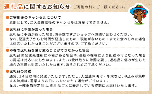 黒糖ドーナツ 2袋 黒糖 おやつ 宇検村 奄美大島 鹿児島県 送料無料 2袋(10個入り×2セット)