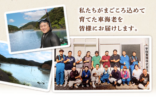 《奄美大島 宇検村産》燻製車海老(5尾) 魚介 スモーク 車海老 えび エビ おつまみ 調味料保存料不使用 奄美大島 宇検村 鹿児島