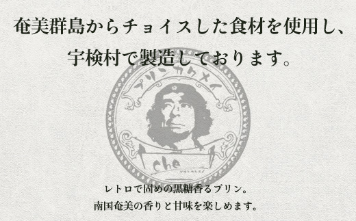 奄美 たんかんバター（2個 240g）たんかん 奄美大島 宇検村 鹿児島 国産バター使用（プリン専門店che) 2個 たんかんバター