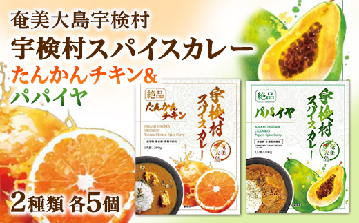 絶品 宇検村スパイスカレー「パパイヤ ＆ たんかんチキン」・各5個 10個セット 各5食（計10食） たんかんチキン＆パパイヤ