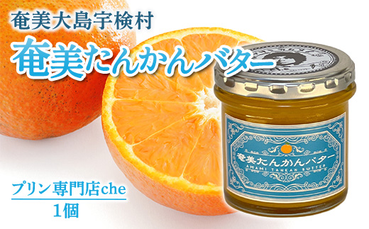 奄美 たんかんバター（1個 120g）たんかん 奄美大島 宇検村 鹿児島 国産バター使用（プリン専門店che) 1個 たんかんバター