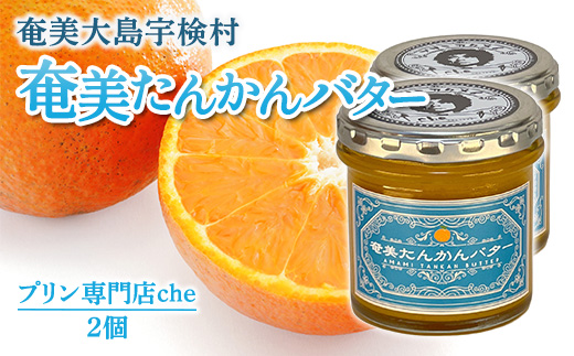 奄美 たんかんバター（2個 240g）たんかん 奄美大島 宇検村 鹿児島 国産バター使用（プリン専門店che) 2個 たんかんバター