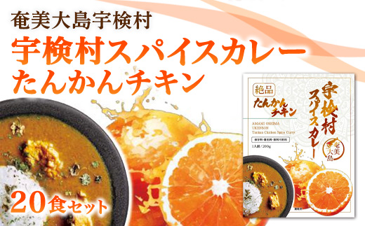 絶品 宇検村スパイスカレー「たんかんチキン」・20個セット 20食 たんかんチキン