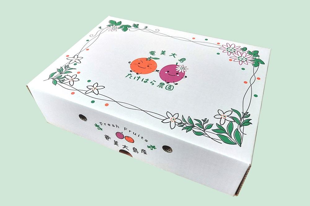 【2026年発送分 先行受付】パッションフルーツ 化粧箱12個入り(L玉)×4箱【たけはら農園】