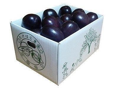 【2026年発送分 先行受付】パッションフルーツ バラ詰め2kg【たけはら農園】