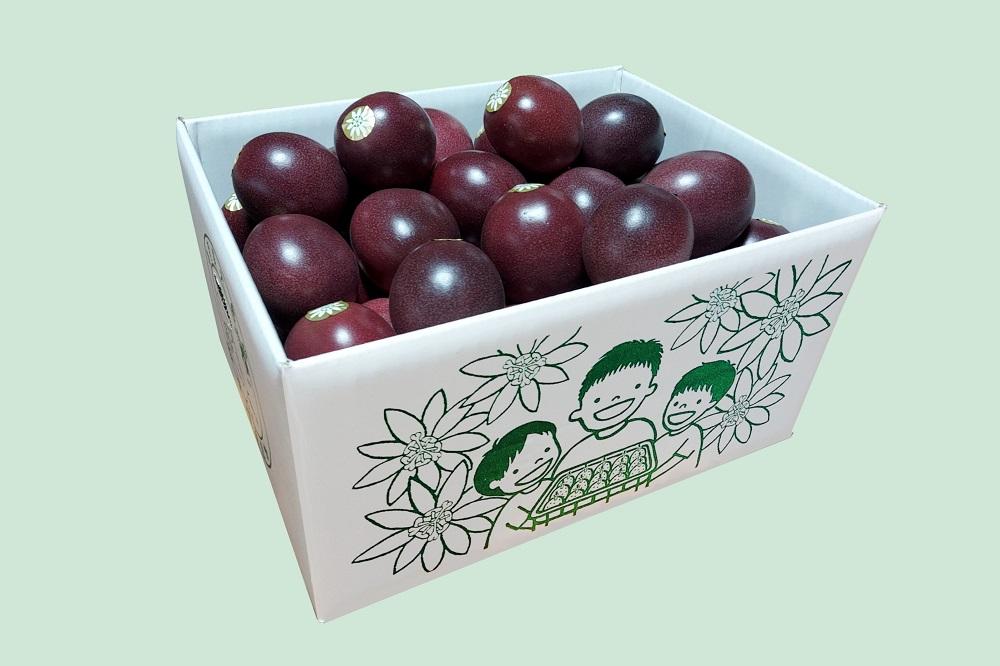 【2026年発送分 先行受付】パッションフルーツ バラ詰め3kg【たけはら農園】