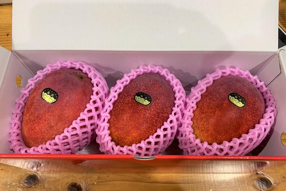 【2026年 先行予約】奄美完熟マンゴー 化粧箱 約1kg(2～3玉入り) 農家直送！