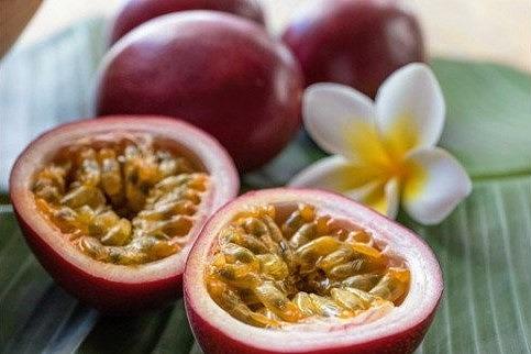 【先行受付】奄美大島産 パッションフルーツ ご家庭用 1.2kg（13～16個入り）＜ながむら農園＞