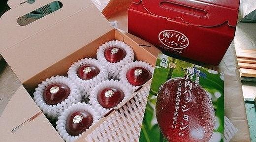 【先行受付】奄美大島産 パッションフルーツ 約600g（化粧箱6個入り×1箱）＜ながむら農園＞