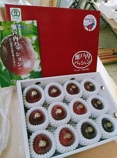 【先行受付】奄美大島産 パッションフルーツ 約1.2kg（化粧箱12個入り×1箱）＜ながむら農園＞