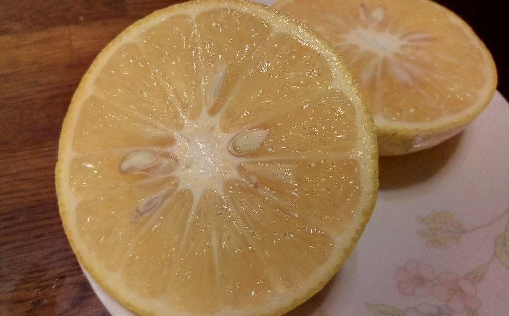 奄美大島産 島れもん 5kg＜芳醇な香りと爽やかな味の国産レモン＞