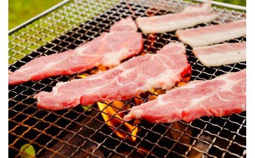 かつみの島豚いちばん焼肉バラエティセット750g(250g×3パック）加計呂麻の塩付き