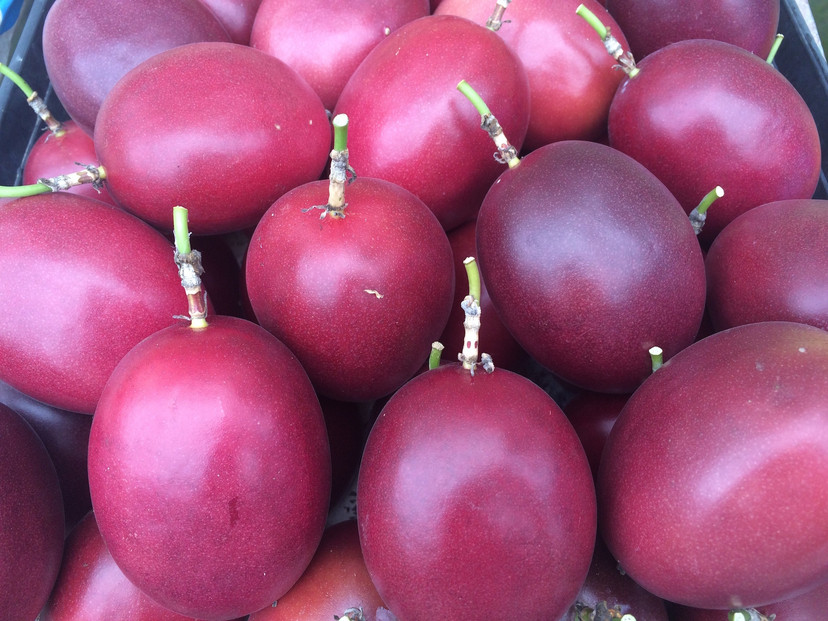 農家謹製☆パッションフルーツジュース（３本入）