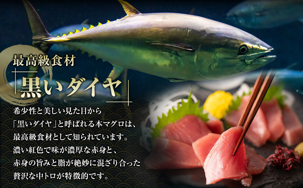 鹿児島県奄美大島産高級食材『黒いダイヤ』黒マグロ　Aセット