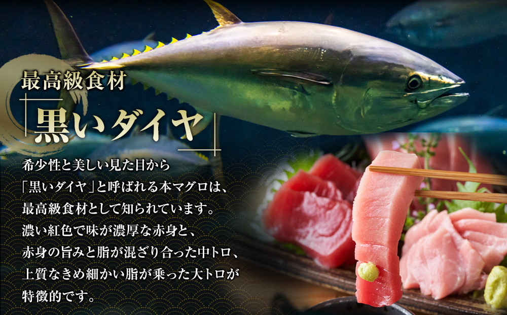 鹿児島県奄美大島産高級食材『黒いダイヤ』黒マグロ　Cセット