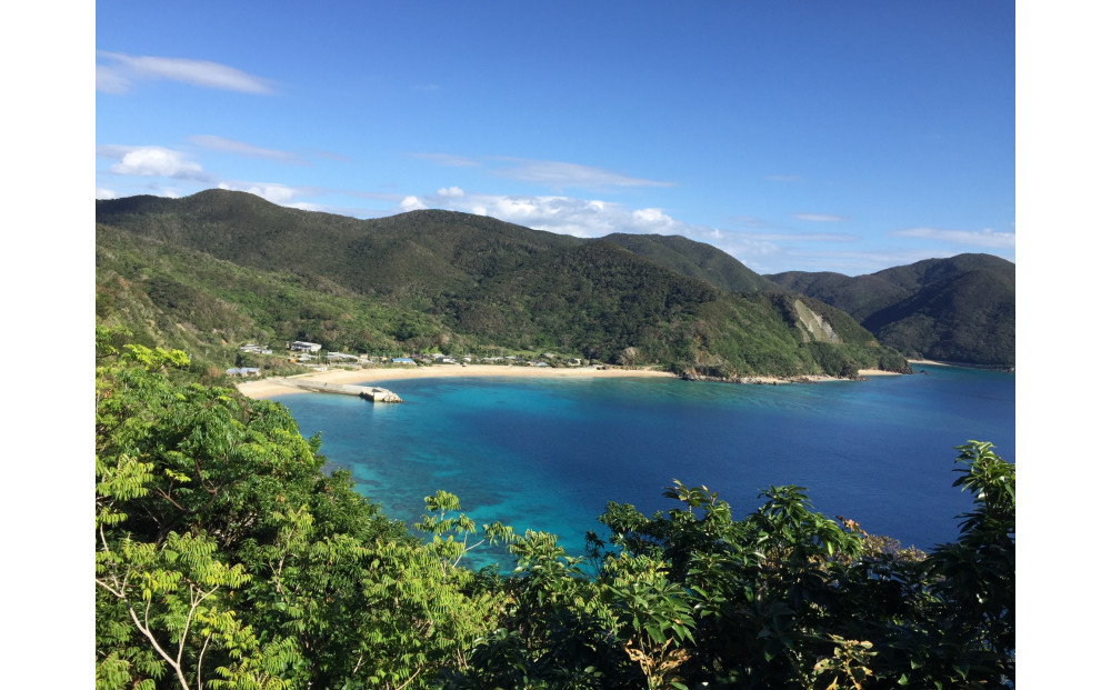 奄美大島・加計呂麻島産　天然にがり（料理用）8本セット