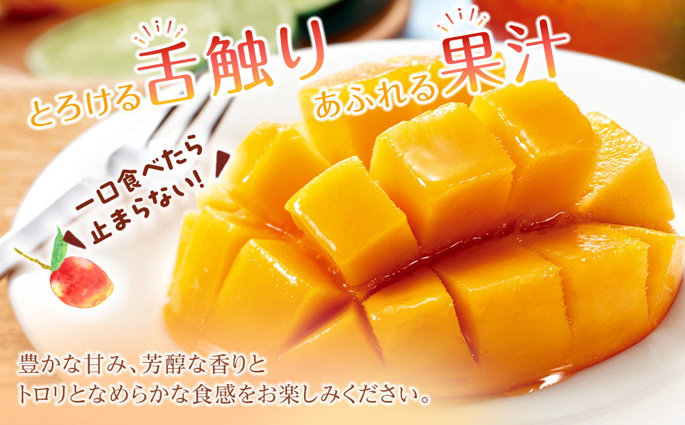 【2026年発送】奄美大島産　完熟マンゴー 約1キロ（2～3玉）