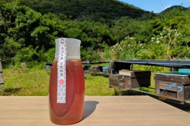 【奄美大島 きゅら島】百花蜂蜜 500g×1本