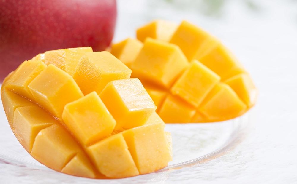 【2026年先行予約】奄美 加計呂麻島 完熟マンゴー 家庭用 約1kg（2～3玉入り）化粧箱