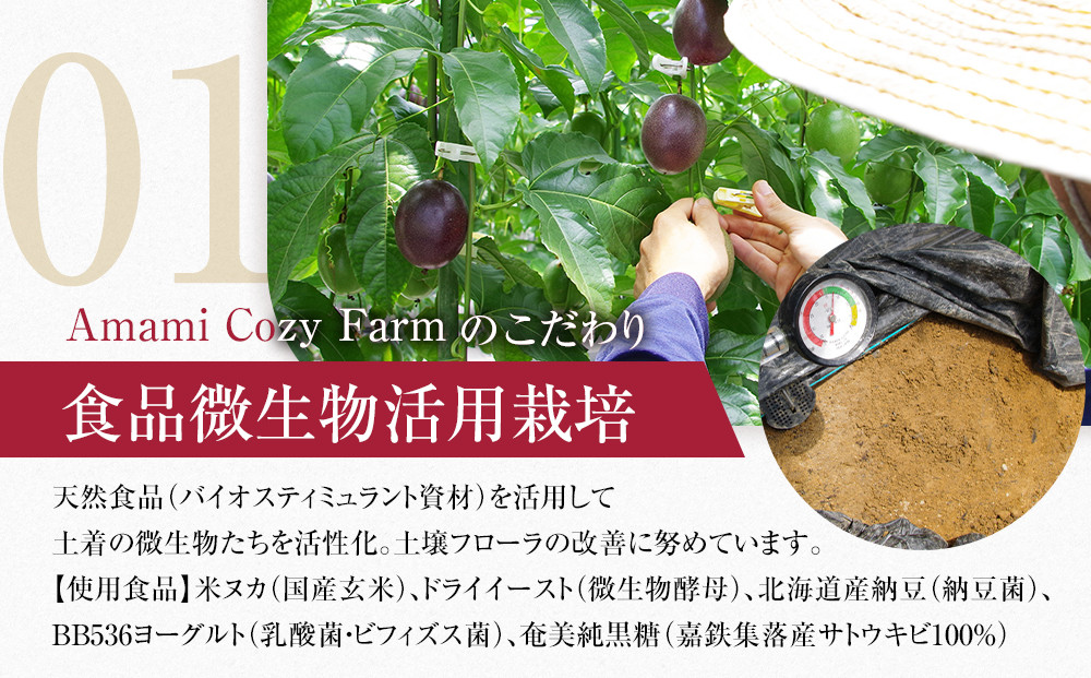 2026年先行受付【農薬・除草剤不使用】奄美大島産樹上完熟パッションフルーツ３kg