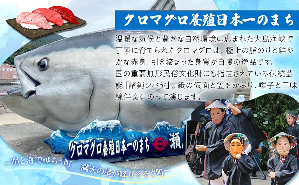 奄美じょうひ餅・奄美蜜すもも餅　10袋詰合