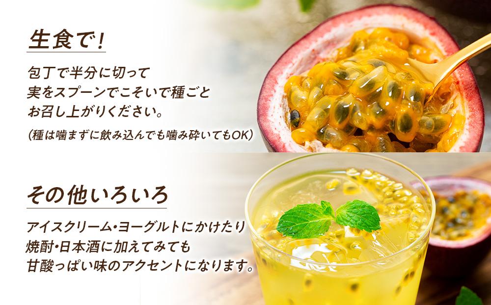 【2026年発送 先行受付】パッションフルーツ 化粧箱12個入り×1箱【武富農園】