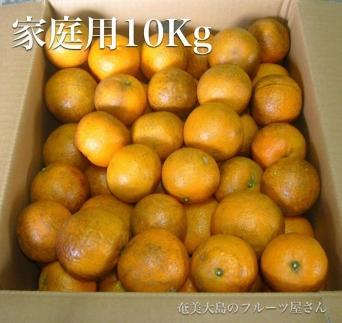 【2026年2月以降発送】訳あり 奄美たんかん 家庭用10kg＜数量限定／先行予約＞
