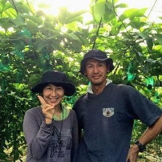 【先行受付】奄美大島産 パッションフルーツ 約4.8kg（化粧箱12個入り×4箱）＜ながむら農園＞