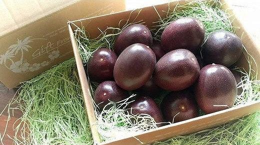 【先行受付】奄美大島産 パッションフルーツ ご家庭用3kg（32～35個入）