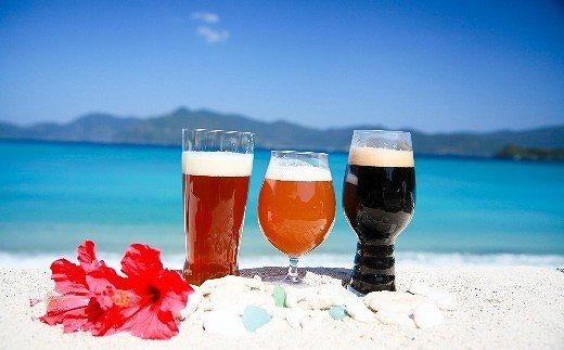 奄美群島地ビールAMAMIGARDEN 3種セット（330ml×各8本）