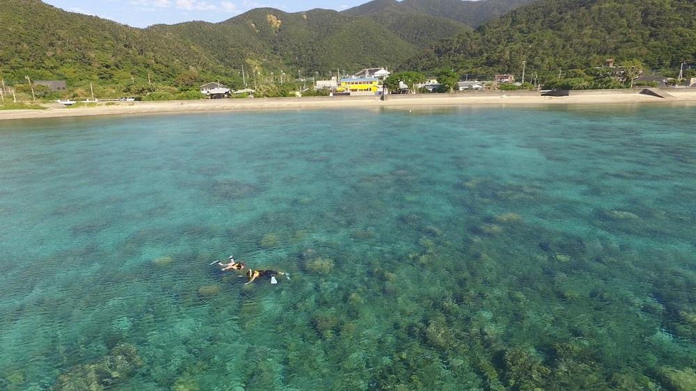 綺麗な海でのんびり。シュノーケリングレンタル: 瀬戸内町ANAのふるさと納税