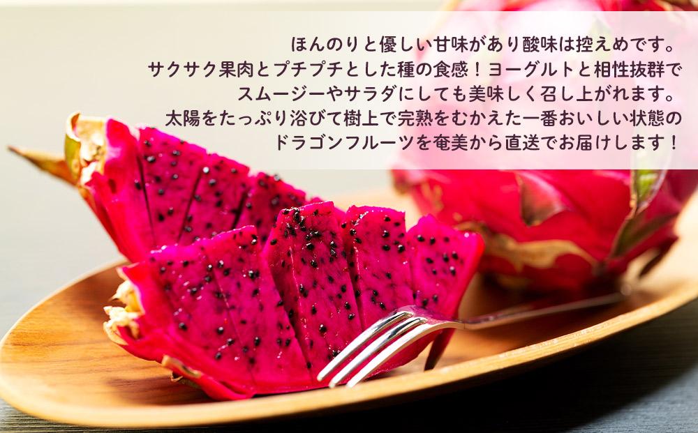 奄美産 食べごろ樹上完熟『赤蜜ドラゴンフルーツ』2kg×2箱セット【先行予約　7月~10月発送】