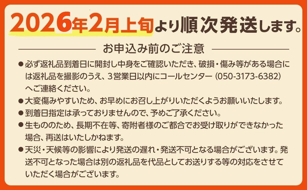 奄美大島産 食べごろ樹上完熟『奄美たんかん』10kg ご家庭用  2026年2月上旬より発送