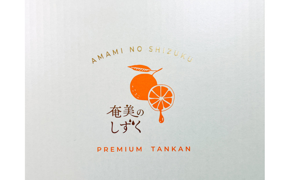 奄美大島産 食べごろ樹上完熟『奄美たんかん』贈答用 10～12玉  2026年2月上旬より発送