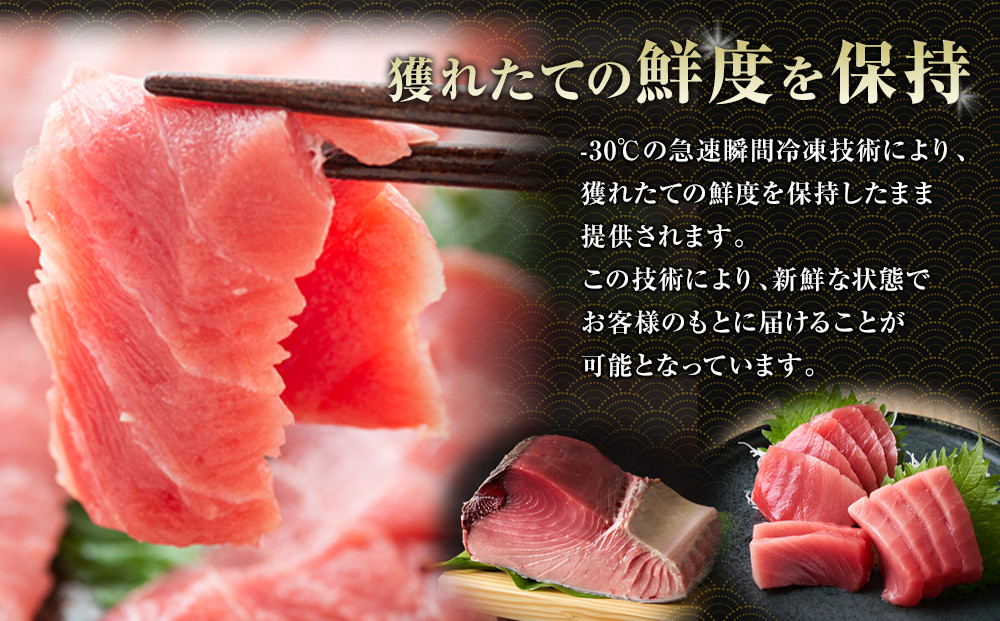 鹿児島県奄美大島産高級食材『黒いダイヤ』黒マグロ　Aセット