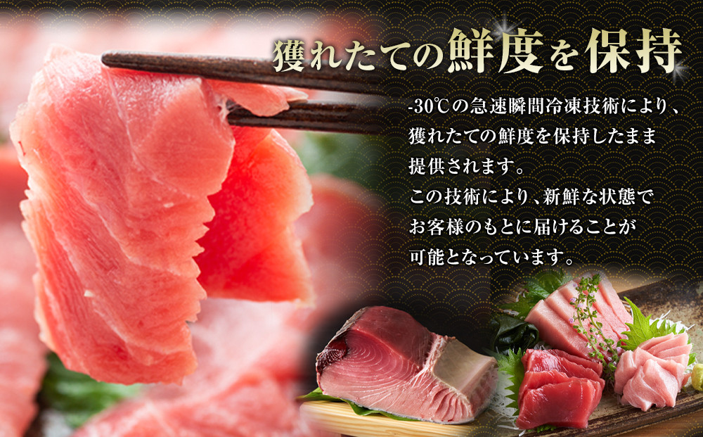 鹿児島県奄美大島産高級食材『黒いダイヤ』黒マグロ　Cセット