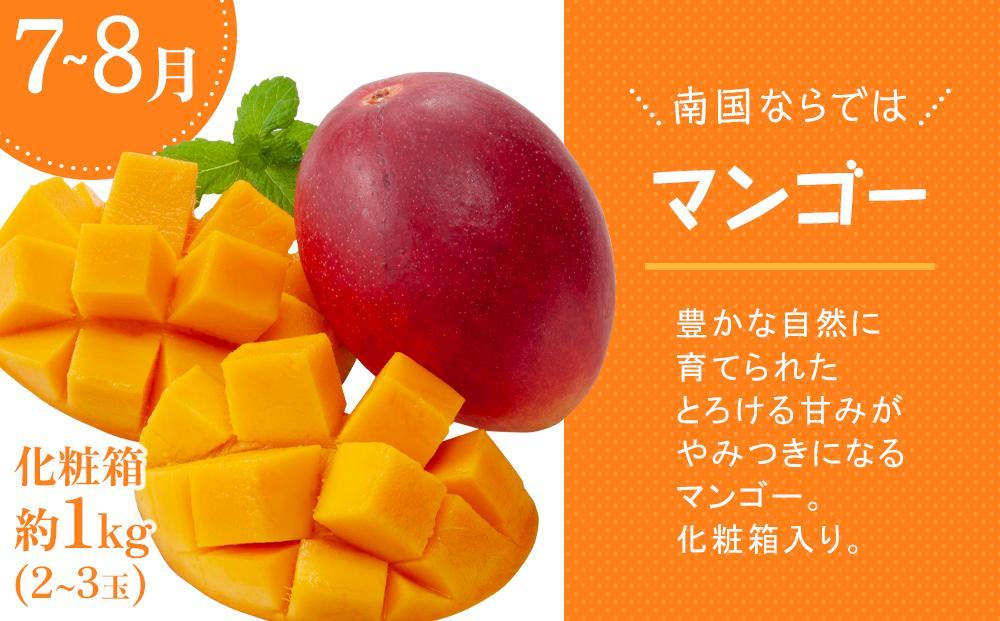 フルーツ好きな人必見！奄美大島から旬のフルーツ全5回定期便