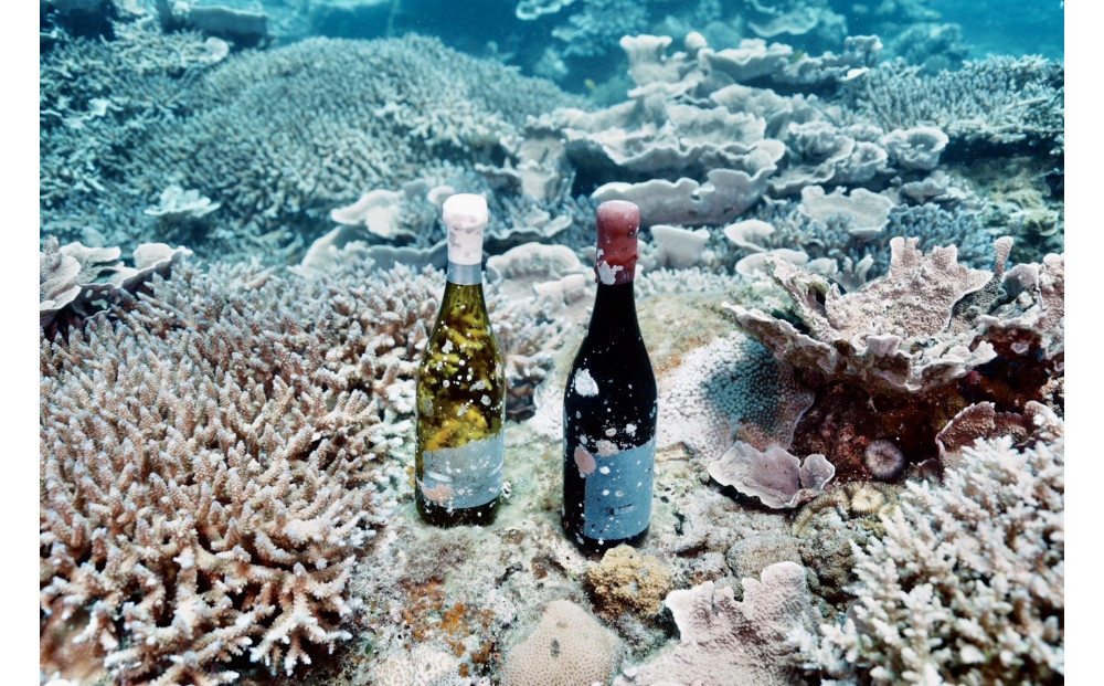 tlass SEA CELLAR -2025 2nd Edition- 海底熟成スパークリング 750ml×1本