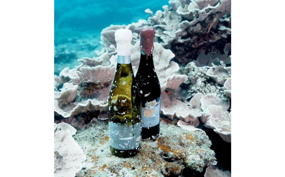 tlass SEA CELLAR -2024 1st Edition- 海底熟成前後飲み比べスパークリング 750ml×2本