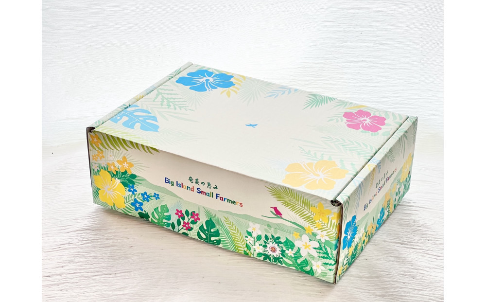 【2026年発送】《皇室献上品のパッションフルーツ》奄美大島瀬戸内町産　大玉12個入り／約1kg／希少な南国フルーツ／農園オリジナル化粧箱入り