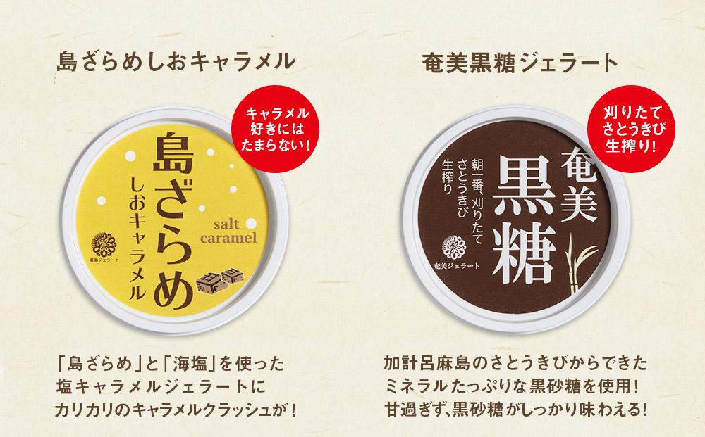 【CASTANO】奄美ジェラート　8個セット（ギフト用も可）【1】