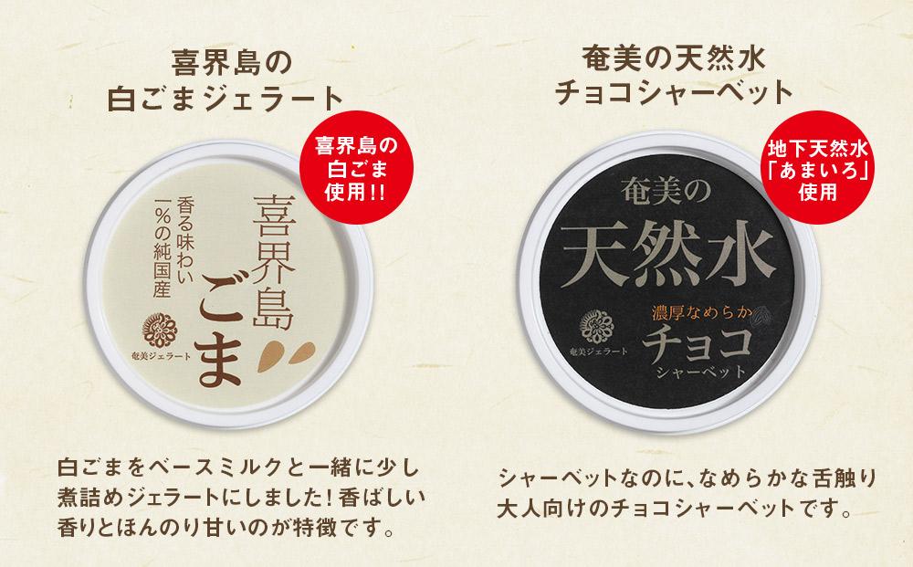 【CASTANO】奄美ジェラート　8個セット（ギフト用も可）【2】